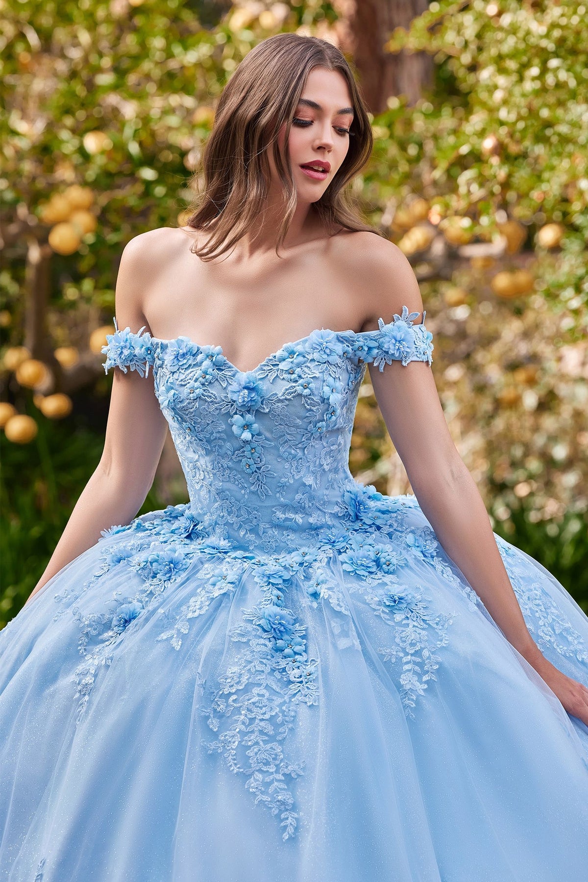 15702 OFF THE SHOULDER FLORAL QUINCE BALL GOWN