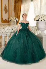 15702 OFF THE SHOULDER FLORAL QUINCE BALL GOWN