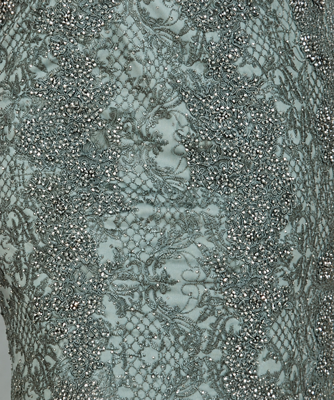 Fitted Lace Mermaid Gown