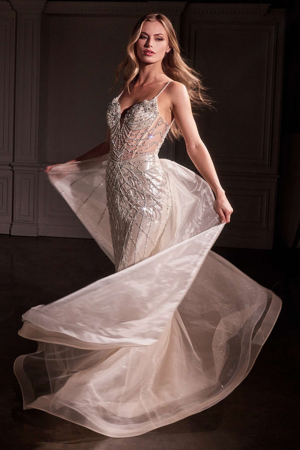 Ladivine CD763 Fit & Flare Crystal Embellished Gown & Overskirt