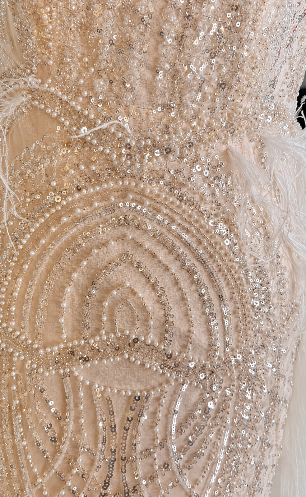 Off Shoulder Gown with Feathers | 29161