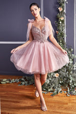 CD0174 A-LINE SHORT TULLE DRESS