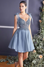 CD0174 A-LINE SHORT TULLE DRESS