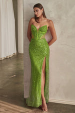 CD0227 EMBELLISHED STRAPLESS GOWN