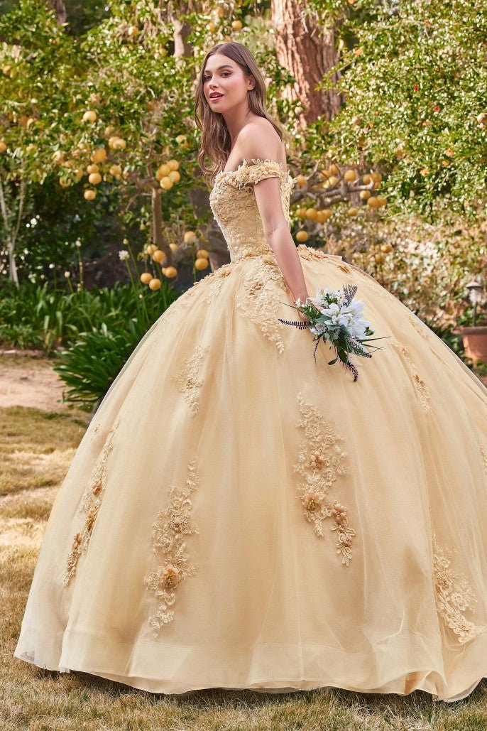 15702 OFF THE SHOULDER FLORAL QUINCE BALL GOWN - SARAH FASHION