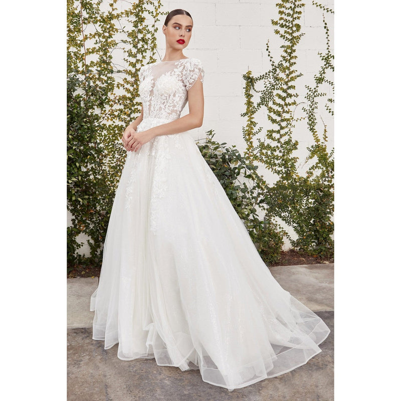 A1082W SOFIAN CAP SLEEVE LACE BALL GOWN - SARAH FASHION