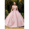 CD0185 OFF THE SHOULDER LAYERED TULLE BALL GOWN - SARAH FASHION